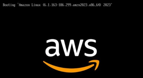 Instance console screenshot
