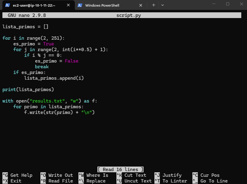 Python script opened in nano
