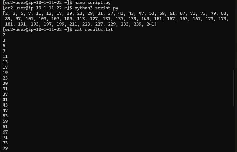 Terminal showing python execution and results file
