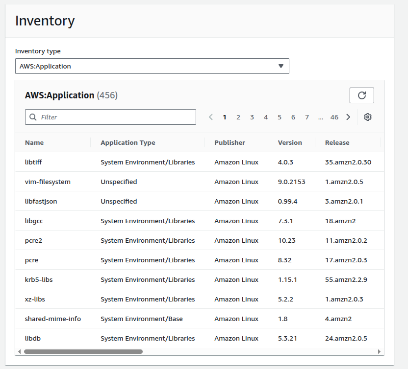 Fleet Manager inventory showing 456 applications on the managed instance