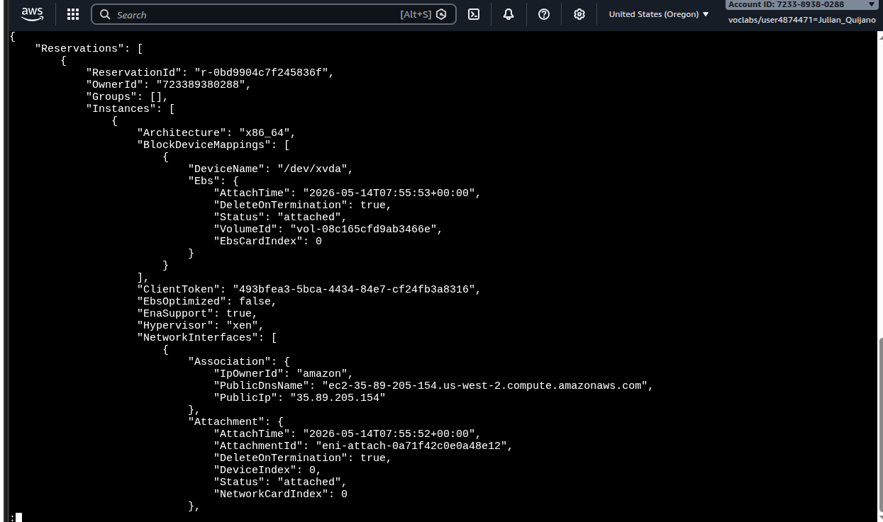 JSON output of aws ec2 describe-instances showing PublicDnsName and PublicIp
