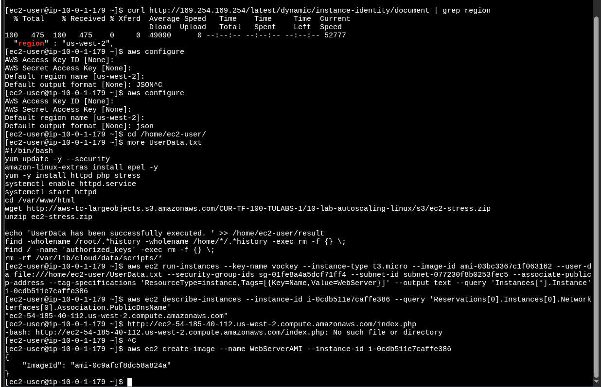 Command Host terminal showing the full CLI sequence to build WebServerAMI
