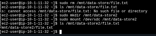 Terminal showing rm of file.txt, failed ls, then mount of /dev/sdc and successful ls
