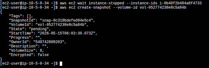 aws ec2 wait instance-stopped followed by create-snapshot output showing snap-0c318bdefed94e5c4 in pending state