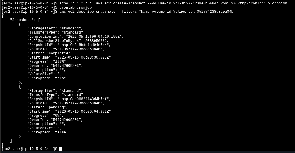 crontab cronjob followed by describe-snapshots returning two Snapshots: one completed and one pending