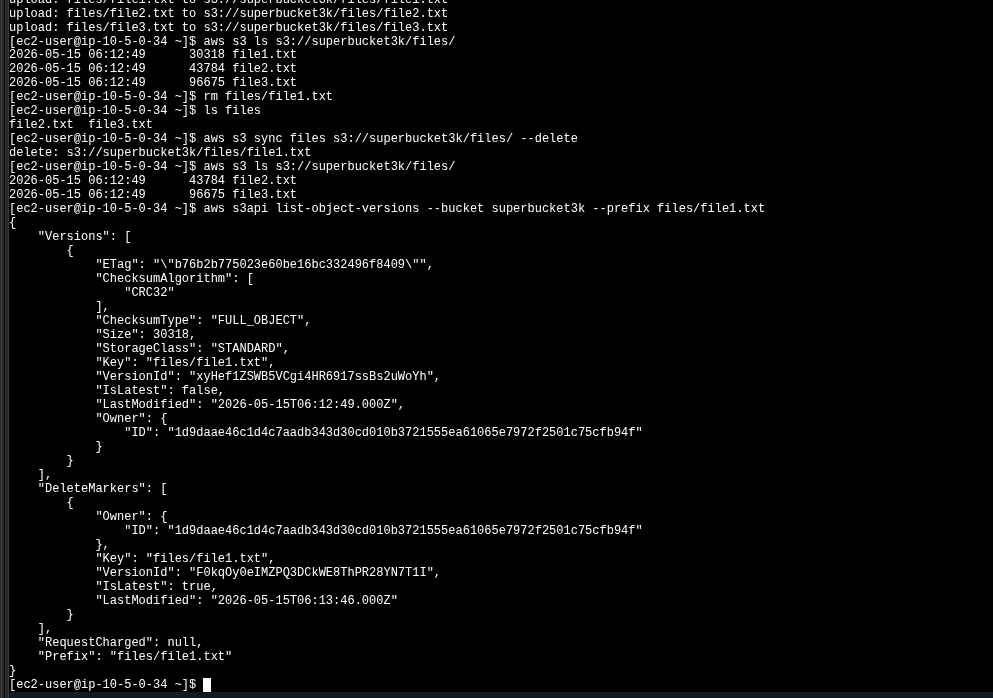 list-object-versions output showing the Versions block with VersionId xyHef1ZSWB5VCgi4HR6917ssBs2uWoYh and the DeleteMarkers block with VersionId F0kqOy0eIMZPQ3DCkWE8ThPR28YN7T1I