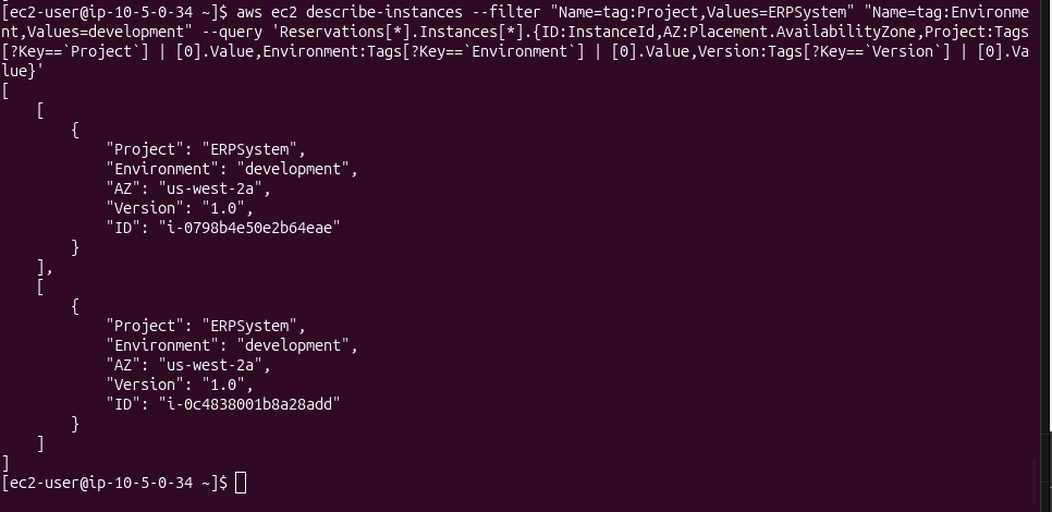 JSON output of the double tag filter showing two ERPSystem development instances