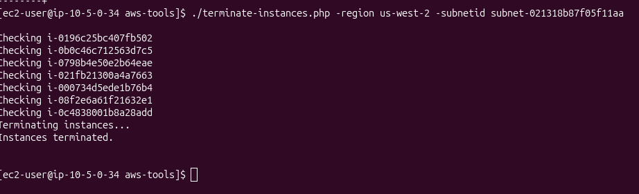 terminate-instances.php output: Checking each ID then Terminating instances and Instances terminated