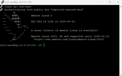 SSH login successful