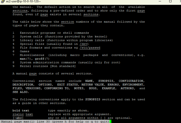 man man output showing sections