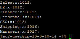 Terminal showing all groups created