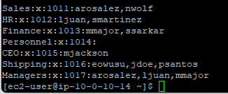 Terminal showing groups with assigned users