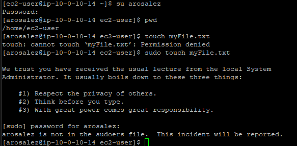Terminal showing permission denied and sudoers error