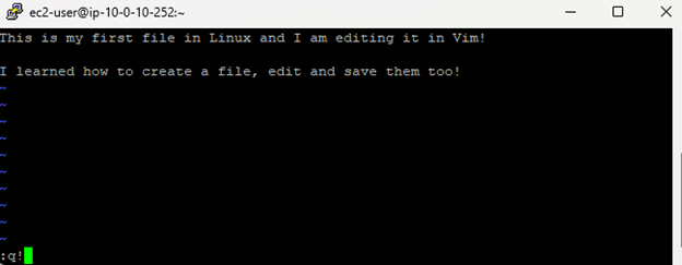 Vim editor showing helloworld file with two lines of text