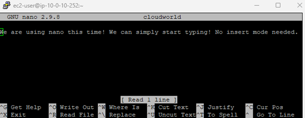Nano editor showing cloudworld file