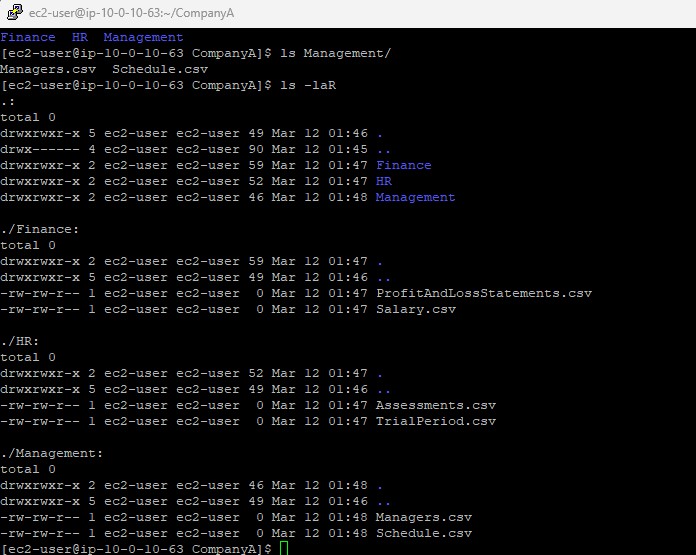 Terminal showing complete folder structure with ls -laR