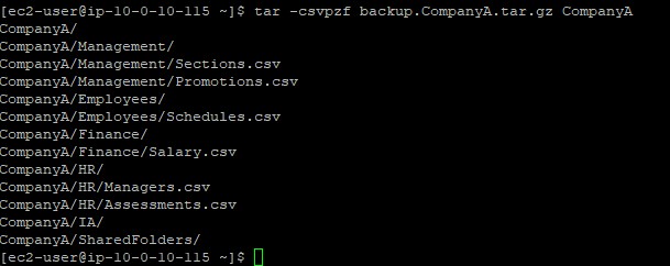Terminal showing tar backup output