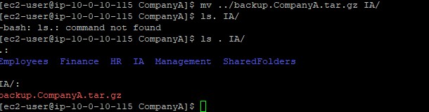 Terminal showing backup file moved to IA folder