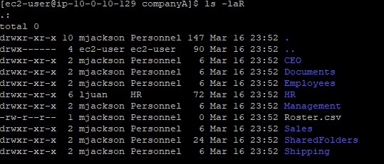 Terminal showing ls -laR output with updated folder ownership