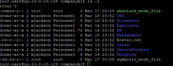 Terminal showing ls -l output confirming chmod changes