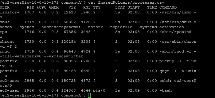 Terminal showing the output of process listing command redirected to a file