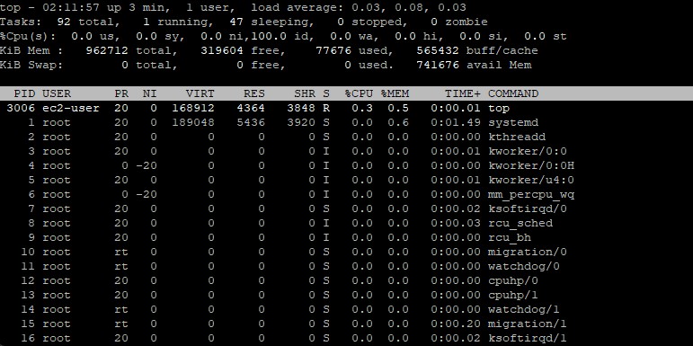 Terminal running the top command displaying live utilization