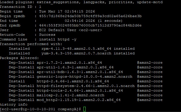 Terminal showing detailed transaction info for yum history