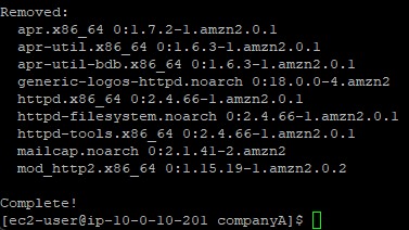 Terminal executing a yum history undo rollback