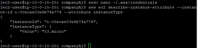 Terminal validating valid IAM credentials by fetching EC2 attributes via AWS CLI