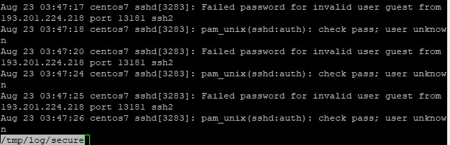 Terminal showing the contents of the secure log using less