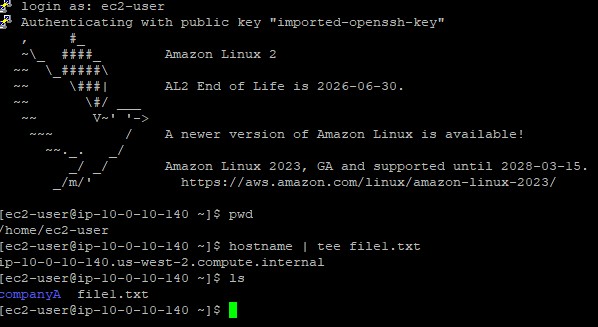 Terminal displaying the tee output both saving to file and printing to stdout