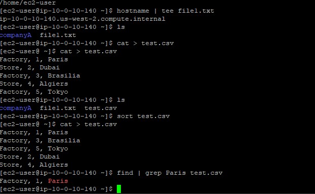 Terminal displaying the unsorted versus sorted views of the CSV