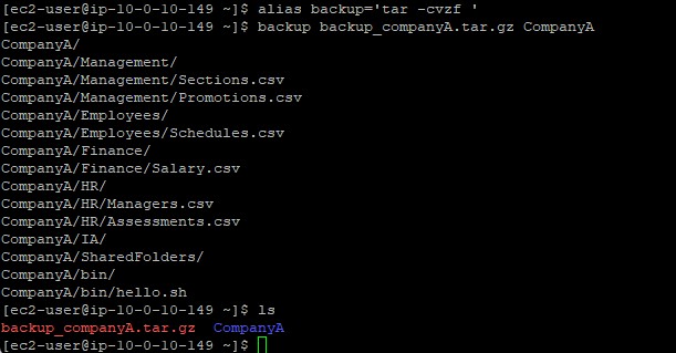 Terminal displaying the successful execution of the custom backup alias