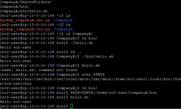 Terminal displaying successful script execution after path modification