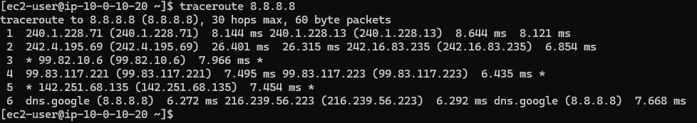 Traceroute output