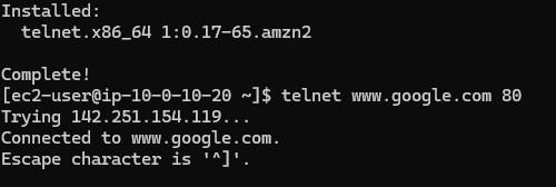 telnet output