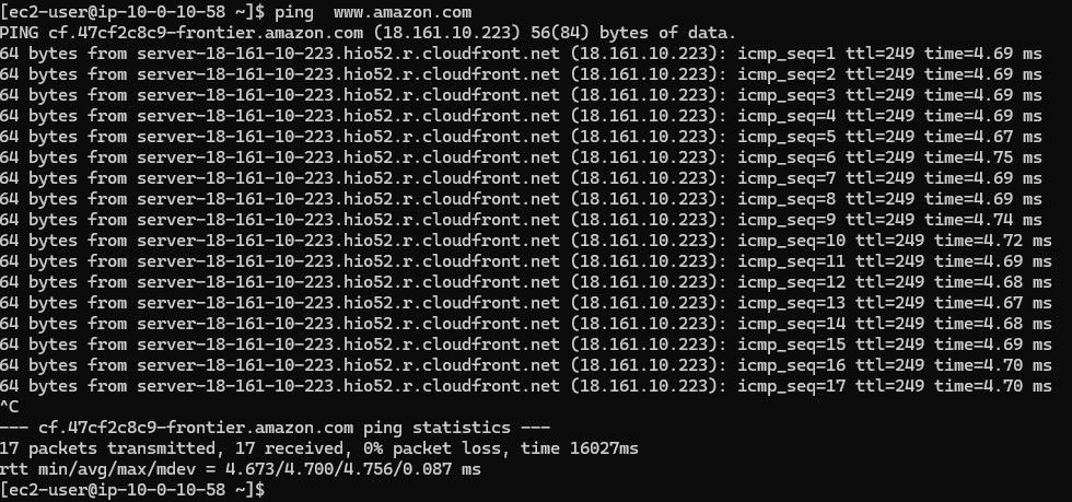Pinging out to the internet