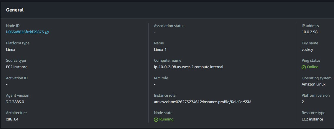 Linux node overview in Fleet Manager
